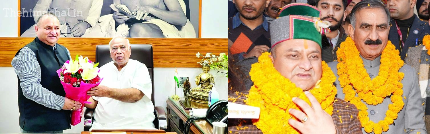 Himachal News: कांग्रेस हाईकमान से मिले विनय कुमार, बोले– कोई भी जिम्मेदारी स्वीकार को तैयार