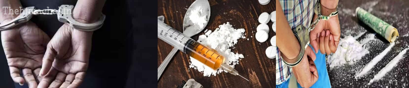 shimla-police-drug-bust-361-arrested-26-govt-employees-involved