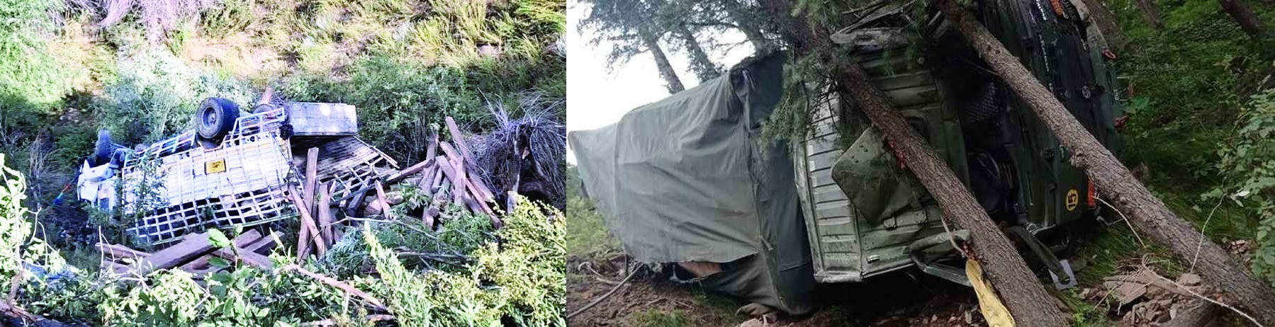 हिमाचल: किरतिंग में लकड़ी से लदा ट्रक गहरी खाई में गिरा, बाल-बाल बचे चालक व सहायक