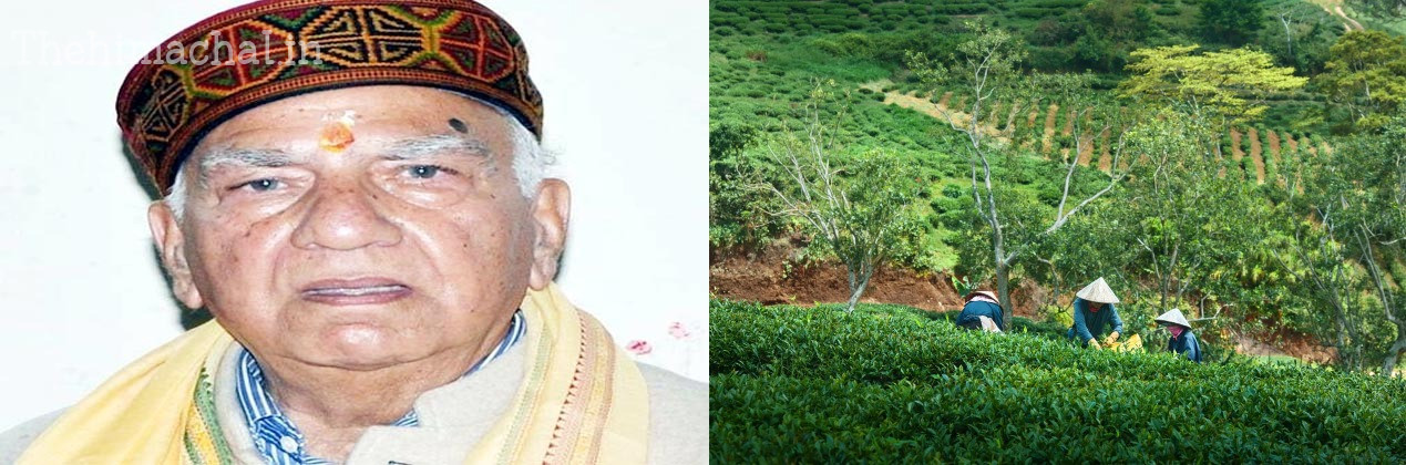 shanta-kumar-questions-officials-on-illegal-plantation-encroachment