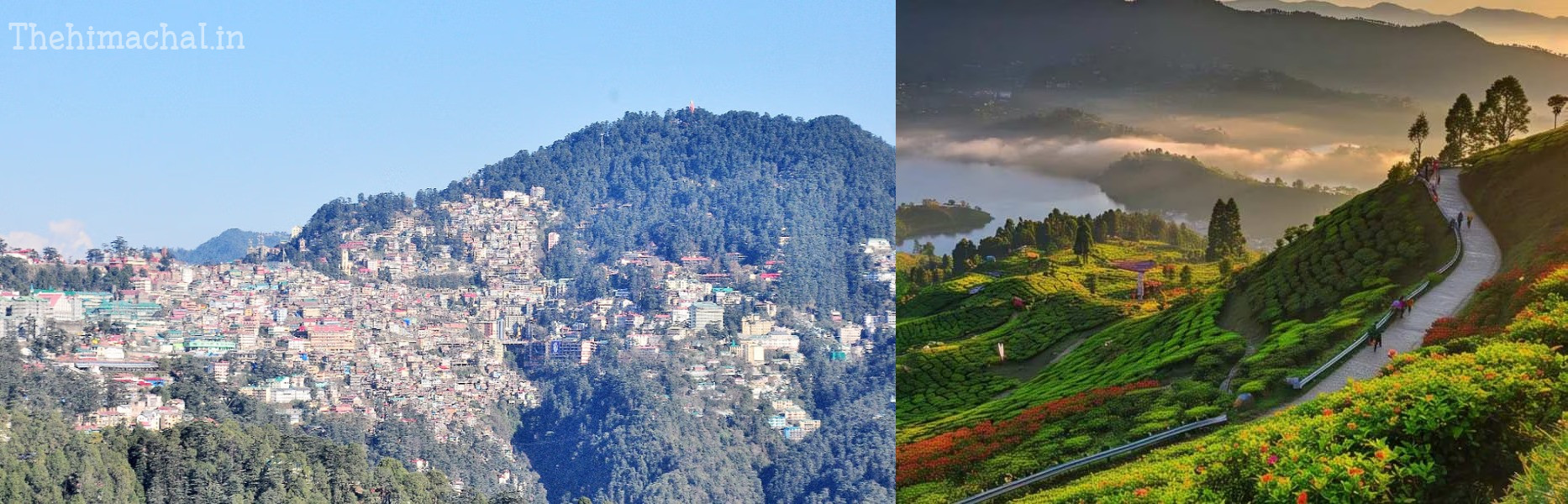 himachal-swachh-survekshan-ranking-thiogh-top-cleanest-city