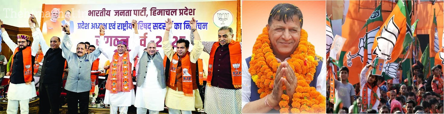 rajiv-bindal-appointed-bjp-himachal-president-third-term